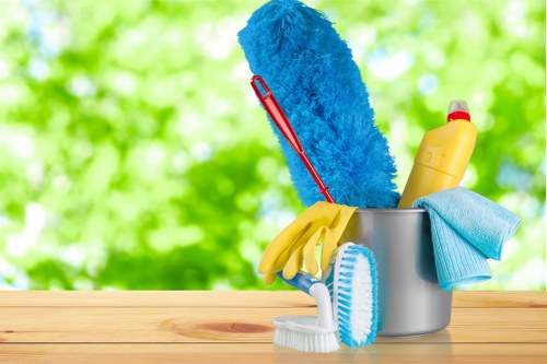 Domestic cleaning essentials in a clean living space