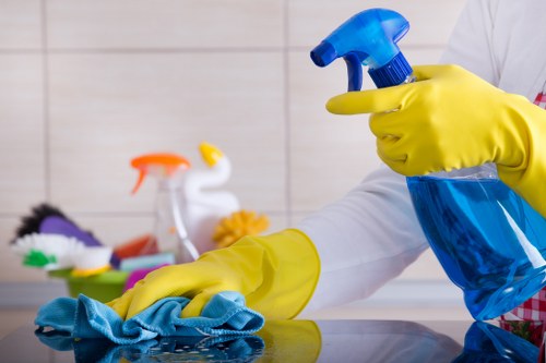 Home cleaning supplies arranged for house cleaning in 