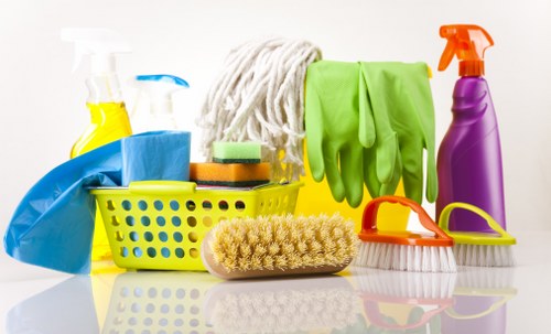 Move in cleaning in service preparing a fresh home interior