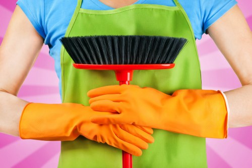 Cleaning tools used for domestic cleaning tasks