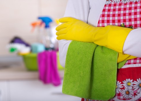 Deep cleaning a living room sofa
