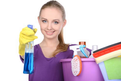 Professional oven cleaning process in a kitchen
